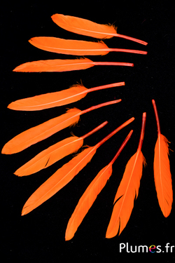 Oie Lame - 10-15 cm - orange